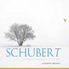 Download track Piano Sonata In B-Flat Major, D. 960 III. Scherzo. Allegro Vivace Con Delicatezza - Trio