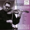 Download track Violin Concerto In D Major, Op. 61 I. Allegro Ma Non Troppo (Live)
