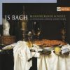 Download track 1. Concerto No. 5 BWV 1050a In D Major For Flute Violin Solo Harpsichord Solo Violin Tutti Viola Violone Early Version Of Brandenburg Concerto No. 5 Karlovy Vary May Or June 1718? - 1. Allegro