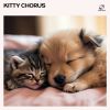 Download track Relaxing Music For Pets