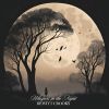 Download track Midnight Harmony