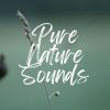 Download track When Does A Rainbow Occur In Nature