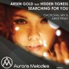 Download track Searching For You (Original Mix)
