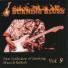 Download track Me, My Guitar And The Blues