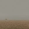 Download track Who's Having More Fun In This Place