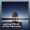 Download track Spacial Elements
