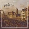 Download track 01. Symphony No. 1 In C Major - Adagio - Allegro Spirituoso