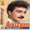 Download track Türkmen Gelini