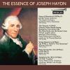Download track Symphony No. 104 In D Major, Hob. I'104, London, I. Adagio - Allegro