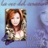 Download track Telenovela