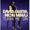 Download track Turn Me On (David Guetta & Laidback Luke Remix)
