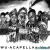 Download track Ms Fat Booty Remix (Acapella)