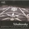 Download track Symphony No. 4 In F Minor, Op. 36 - I. Andante Sostenuto