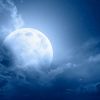 Download track Peaceful Harmony Evening Vibes