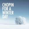 Download track 24 Préludes, Op. 28: No. 5 In D Major, Molto Allegro