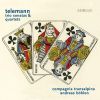 Download track 09 - Sonata For Recorder, Oboe And Basso Continuo In F Major, TWV 42 -F9 - I. Allegro