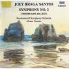 Download track 1. Symphony No. 2 - I. Largo. Allegro Energico Ed Appasionato