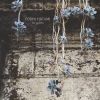 Download track Firefly