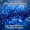 Download track Rain To Fall Asleep To