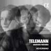 Download track Nouveaux Quatuors Parisiens, Quatuor No. 4 In B Minor, TWV 43: H2: II. Coulant