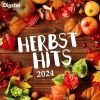 Download track Too Sweet