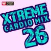 Download track You Give Love A Bad Name (Workout Remix 146 BPM)