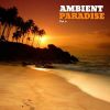 Download track Patterns Of Awareness