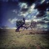 Download track Lesson Learned [Eponymous]