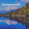 Download track Rain And Trees