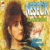 Download track Kar Tanesi