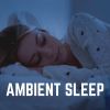 Download track Ambient Music For A Good Nights Sleep, Pt. 14
