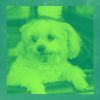 Download track Subtle Separation Anxiety