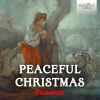 Download track Piano Sonata In B-Flat Major, Op. 24, Craw 96: II. Rondo. Pastorale, Allegretto Moderato Con Espressione