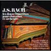 Download track 1. Cembalo Concerto No. 1 In D Minor BWV 1052 - 1. Allegro