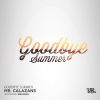 Download track Goodbye Summer (Original Mix)