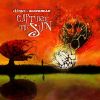 Download track Capture The Sun