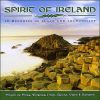 Download track CarrickFergus