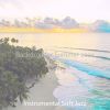 Download track Number One Traveling