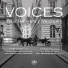 Download track Piano Concerto In D Major, Op. 61a: I. Allegro Ma Non Troppo