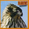 Download track Good Morning