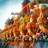 Download track Creative Thoughts