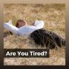 Download track Peace And Relaxation, Pt. 3