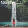 Download track Wellness Music To Sleep By