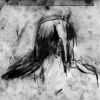 Download track Um