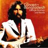 Download track A Hard Rain's A Gonna Fall