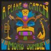 Download track Lingon Grove
