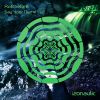 Download track The Gates Of Dawn