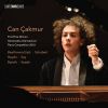 Download track Piano Sonata No. 7 In E-Flat Major, Op. Posth. 122, D. 568: I. Allegro Moderato