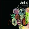 Download track Wind Let Me Down Again