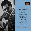Download track Concerto For Viola D'amore & Lute In D Minor, RV 540 I. Allegro